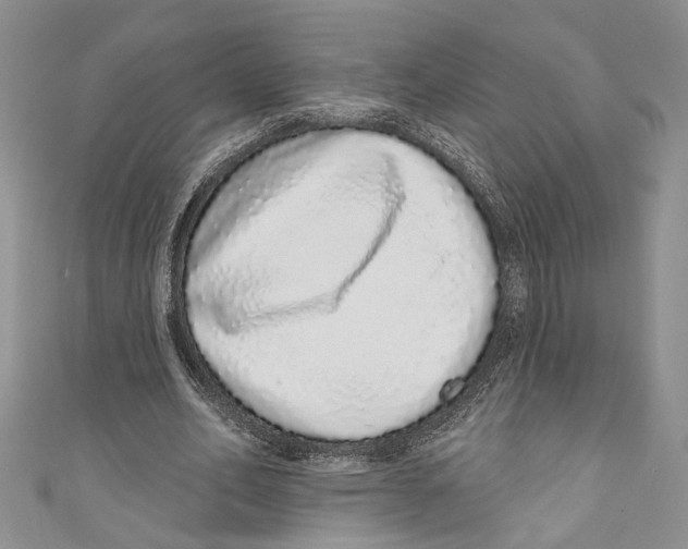 X0000110960582200907171651