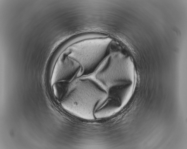 X0000110960583200907171651