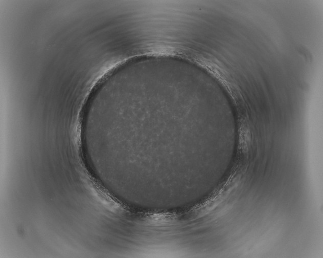 X0000110960584200907171651