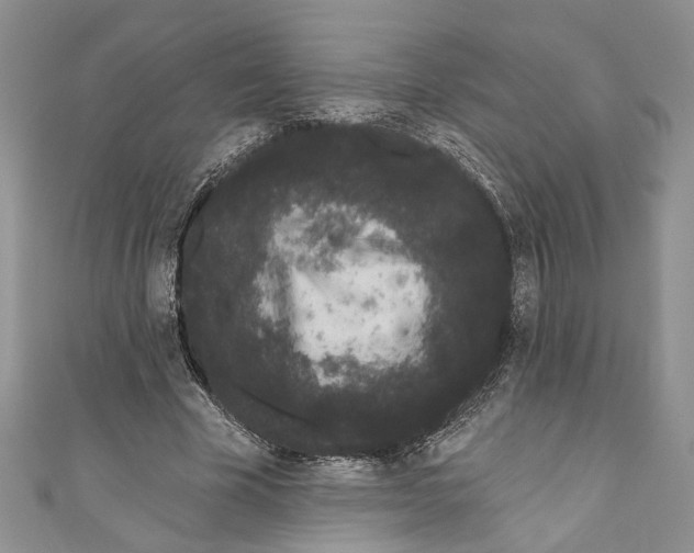 X0000110960585200907171651