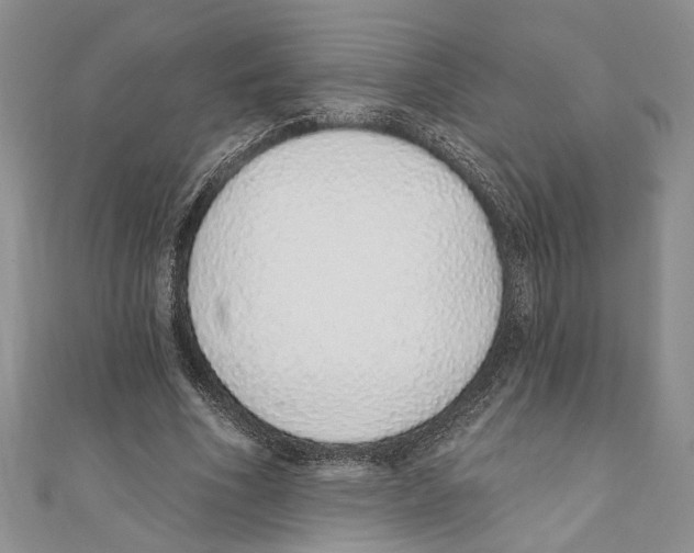 X0000110960586200907171651