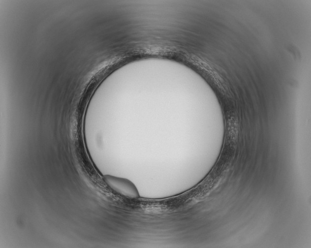 X0000110960587200907171651