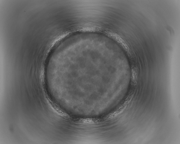X0000110960588200907171651