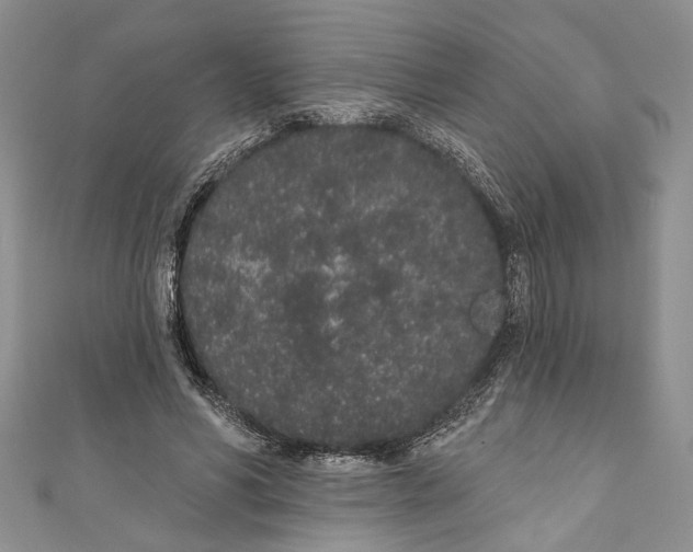 X0000110960590200907171651