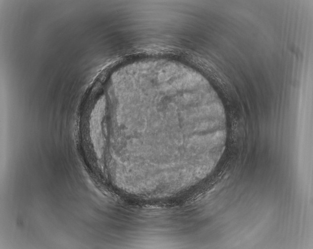 X0000110960592200907171651