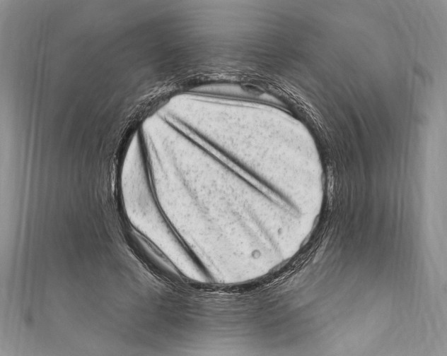 X0000110960593200907171651