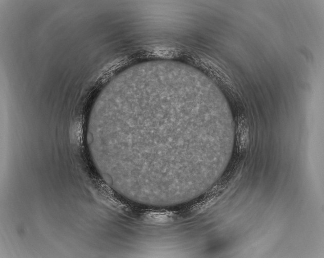X0000110960595200907171651