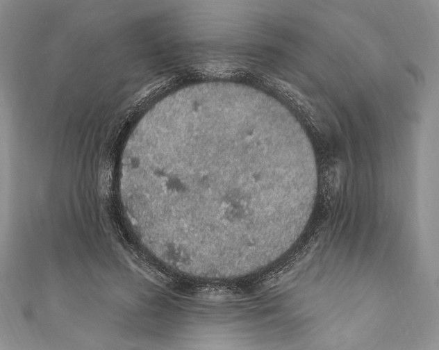 X0000110960596200907171651