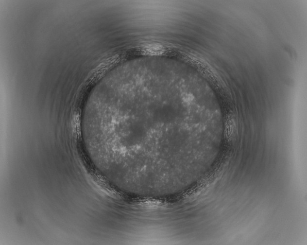 X0000110960598200907171651