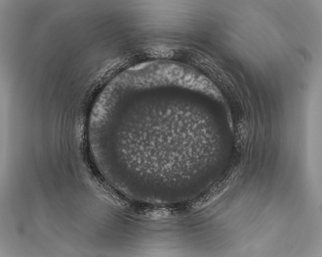 X0000110960600200907171651