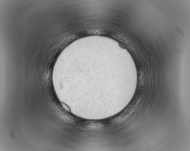 X0000110960601200907171651