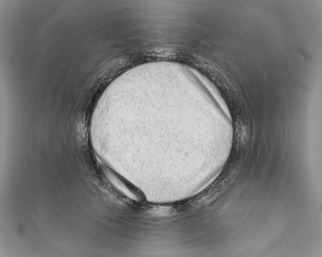 X0000110960609200907171651