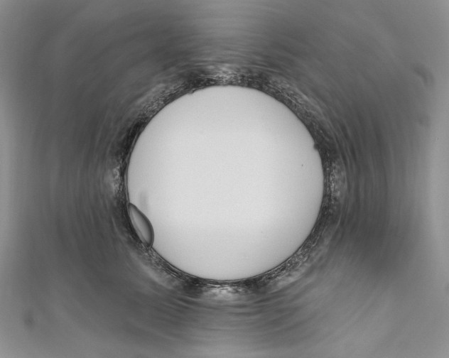 X0000110960611200907171651