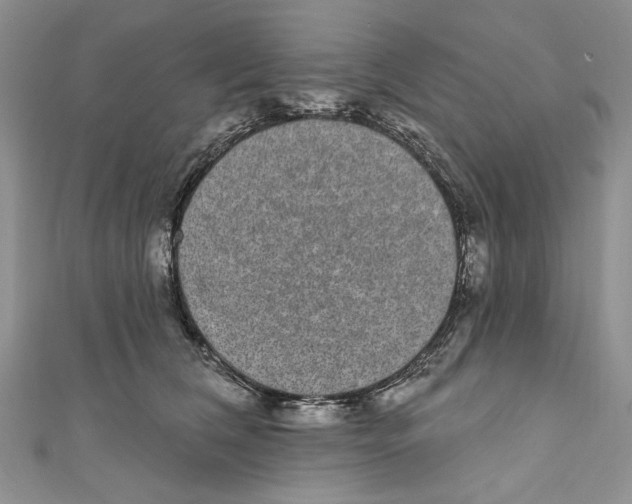 X0000110960612200907171651