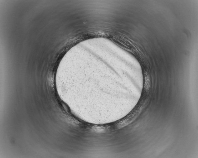 X0000110960613200907171651