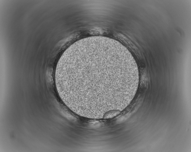 X0000110960616200907171651
