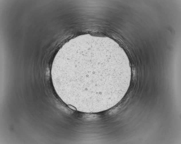 X0000110960617200907171651
