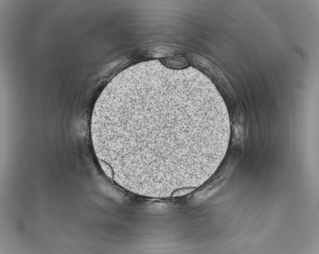X0000110960620200907171651