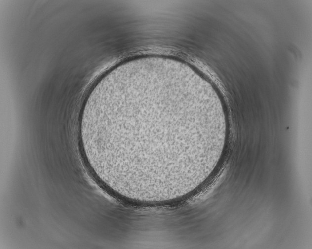 X0000110960625200907171650