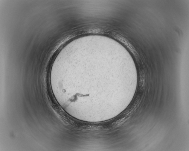 X0000110960626200907171650
