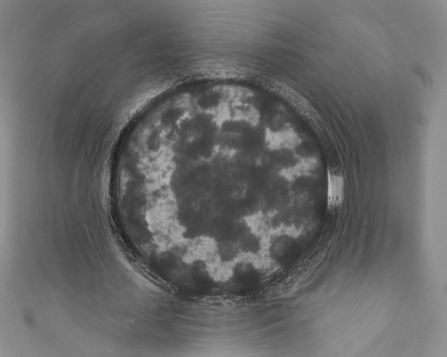 X0000110960627200907171650
