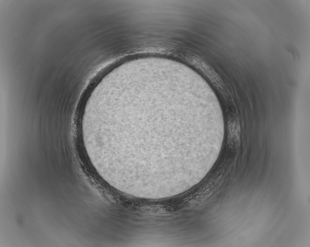 X0000110960628200907171650