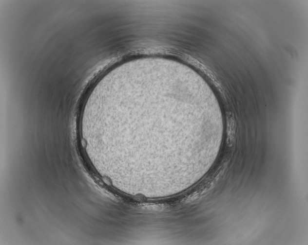 X0000110960629200907171650