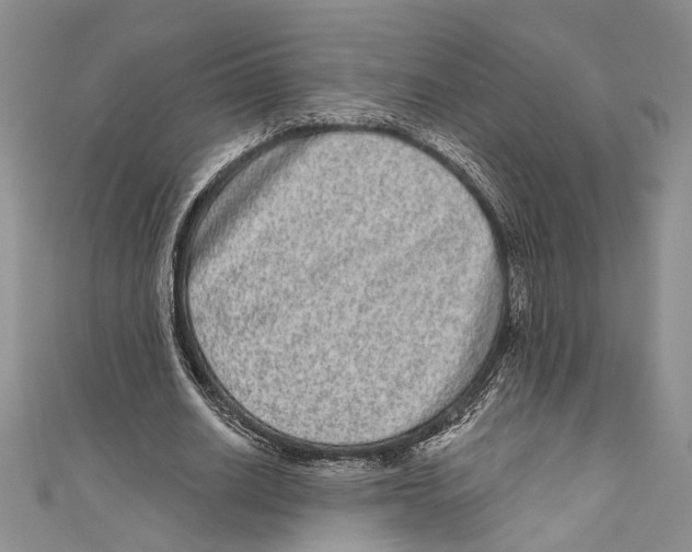 X0000110960630200907171650