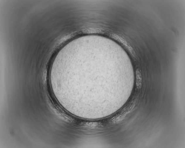 X0000110960631200907171650