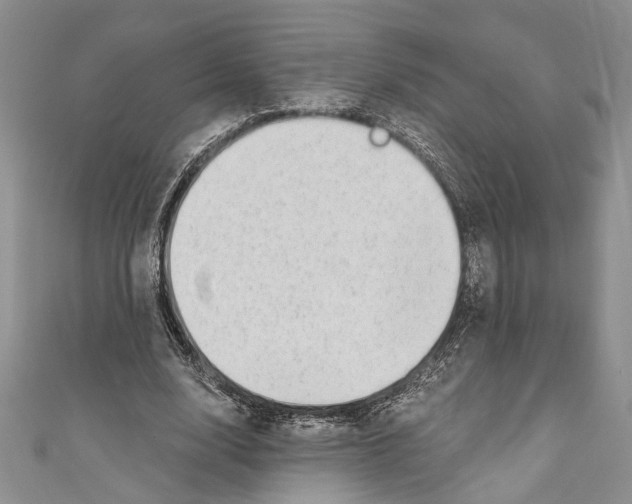X0000110960632200907171650
