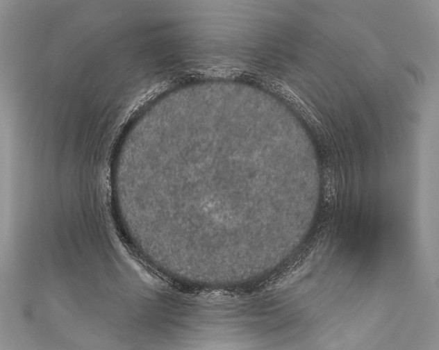 X0000110960634200907171650