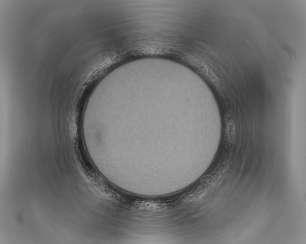 X0000110960635200907171650