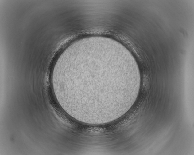 X0000110960636200907171650