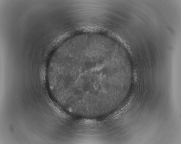 X0000110960637200907171650