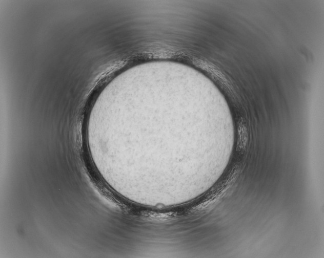 X0000110960638200907171650