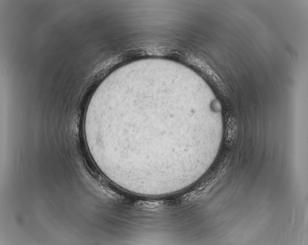 X0000110960639200907171650