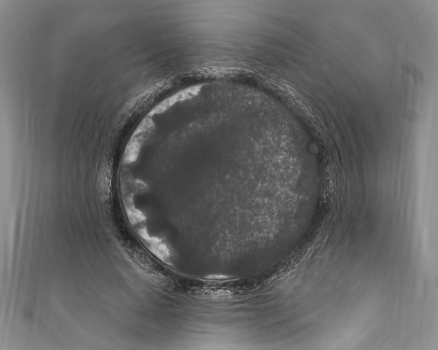 X0000110960640200907171650