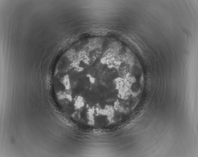 X0000110960641200907171650