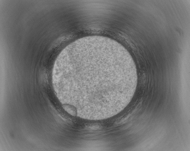 X0000110960643200907171650