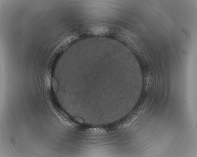 X0000110960644200907171650