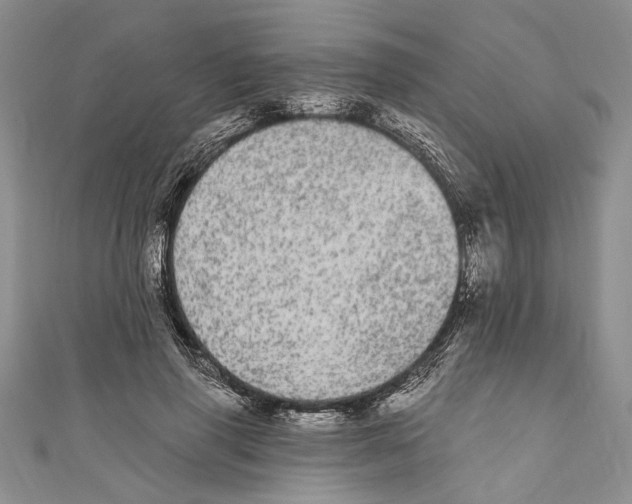 X0000110960645200907171650
