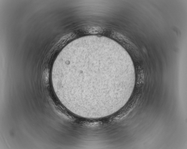 X0000110960646200907171650