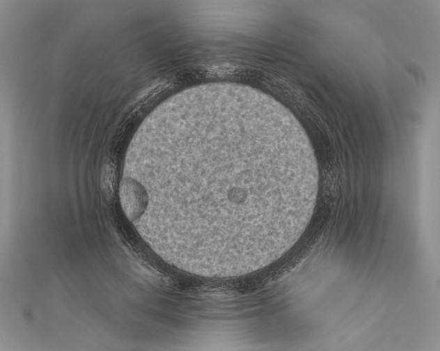 X0000110960648200907171650
