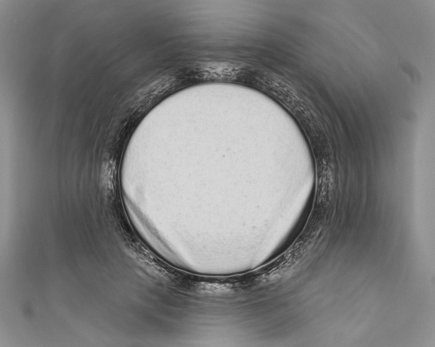 X0000110960649200907171650