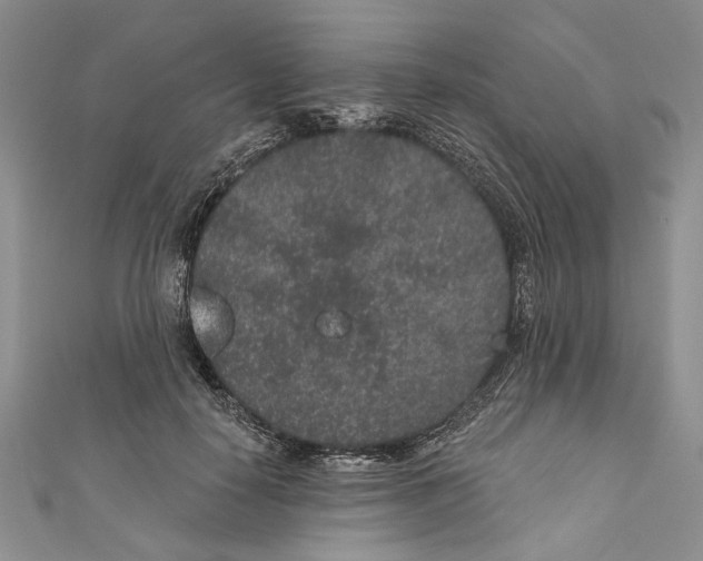 X0000110960650200907171650