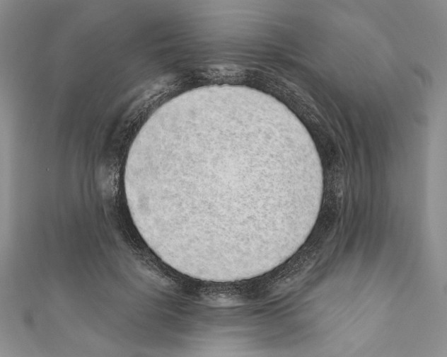 X0000110960652200907171650