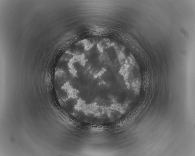 X0000110960653200907171650