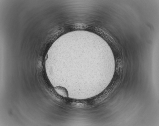 X0000110960655200907171650