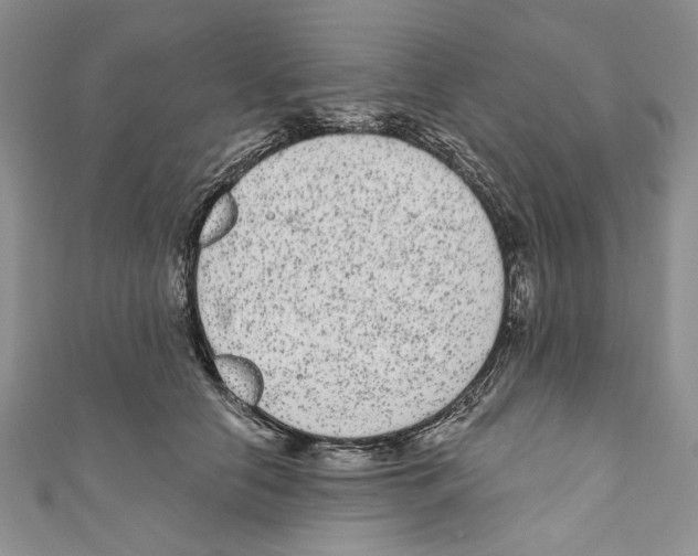 X0000110960658200907171650