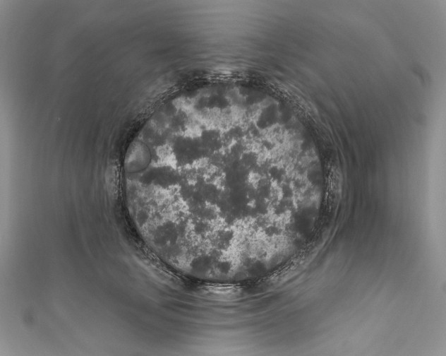 X0000110960659200907171650